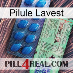 Lavest Pill new02